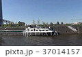 A walk along the river on a boat in Frankfurt am m 37014157