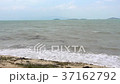 Dirty beach after ocean storm while day 37162792