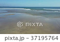 Aerial view on the beach 37195764