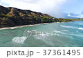 Hawaii 37361495