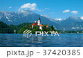 Lake Bled, Alps, Slovenia, Europe. Summer scenery 37420385