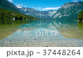 Bohinj Lake, Triglav national park, Slovenia, Alps 37448264