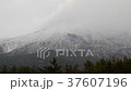 Sakurajima Crown Snow 37607196