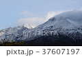 Sakurajima Crown Snow 37607197