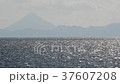 Sakurajima Crown Snow 37607208