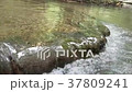 Water stream flowing through natural mountain rock 37809241