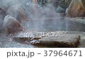 露天浴池 37964671