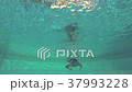 Man swimming. Shot from underwater. 37993228