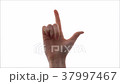 用手指以二進制數從1到31計數 37997467