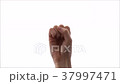 用手指以二進制數從1到31計數 37997471