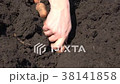 Planting Potatoes Closeup 38141858