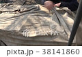 Men Preparing Potatoes for Planting 38141860