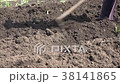 Weeding on Dry the Ground Plants 38141865