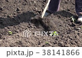 Weeding on Dry the Ground Plants 38141866