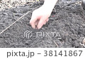 Women Planting Bow Early Spring Time 38141867