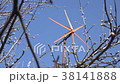 Wind Turbine Start Rotation, Green Energy on Blue 38141888