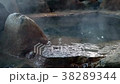 露天浴池 38289344