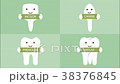 tooth type - incisor, canine, premolar and molar 38376845