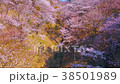 櫻花天線 38501989