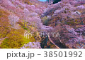 櫻花天線 38501992