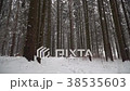 A girl is running in the winter forest. 38535603