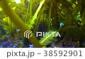 葉山の海藻 葉山の海藻 38592901