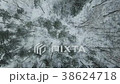 Aerial view of the winter forest 38624718