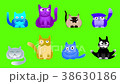 Musical cats on green screen 38630186
