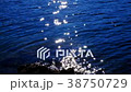 富士山本栖湖　湖面の輝き 38750729