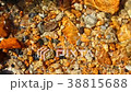 colorful pebbles under water sea for the backgroun 38815688