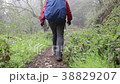 Santiago Pilgrim Road Le Puy's Road 4 38829207