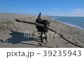 Black dog runnig with a wooden stick on the beach Black dog runnig with a wooden stick on the beach 39235943