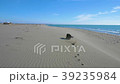 Black dog catching a wooden stick on the beach Black dog catching a wooden stick on the beach 39235984