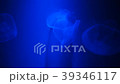 籠子 39346117