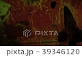 籠子 39346120