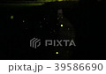 ホタル乱舞 39586690