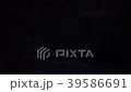 ヒメボタルの乱舞 39586691
