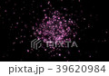 櫻花雪花抹運動 39620984