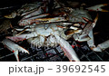 Grilled seafood on the charcoal stove. 39692545