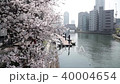 櫻花盛開河春季 40004654