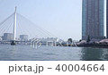 Cherry Central Ohashi Sumida River Spring City 40004664