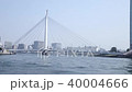 Cherry Central Ohashi Sumida River Spring City 40004666