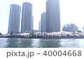 櫻花綻放盛開sumida河春天 40004668