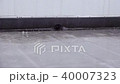 Slow motion of the rain 40007323