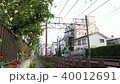 Railroad scenery Odakyu romance car 40012691
