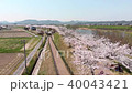 Oh cherry-blossom corridor 40043421