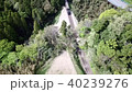 トロッコ列車 40239276