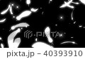 飛羽毛 40393910
