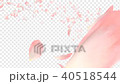 花びらCG6種 アルファチャンネル（ストレート）付 40518544