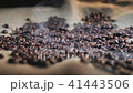 Slow Motion Coffee Beans Splash with Steam 41443506